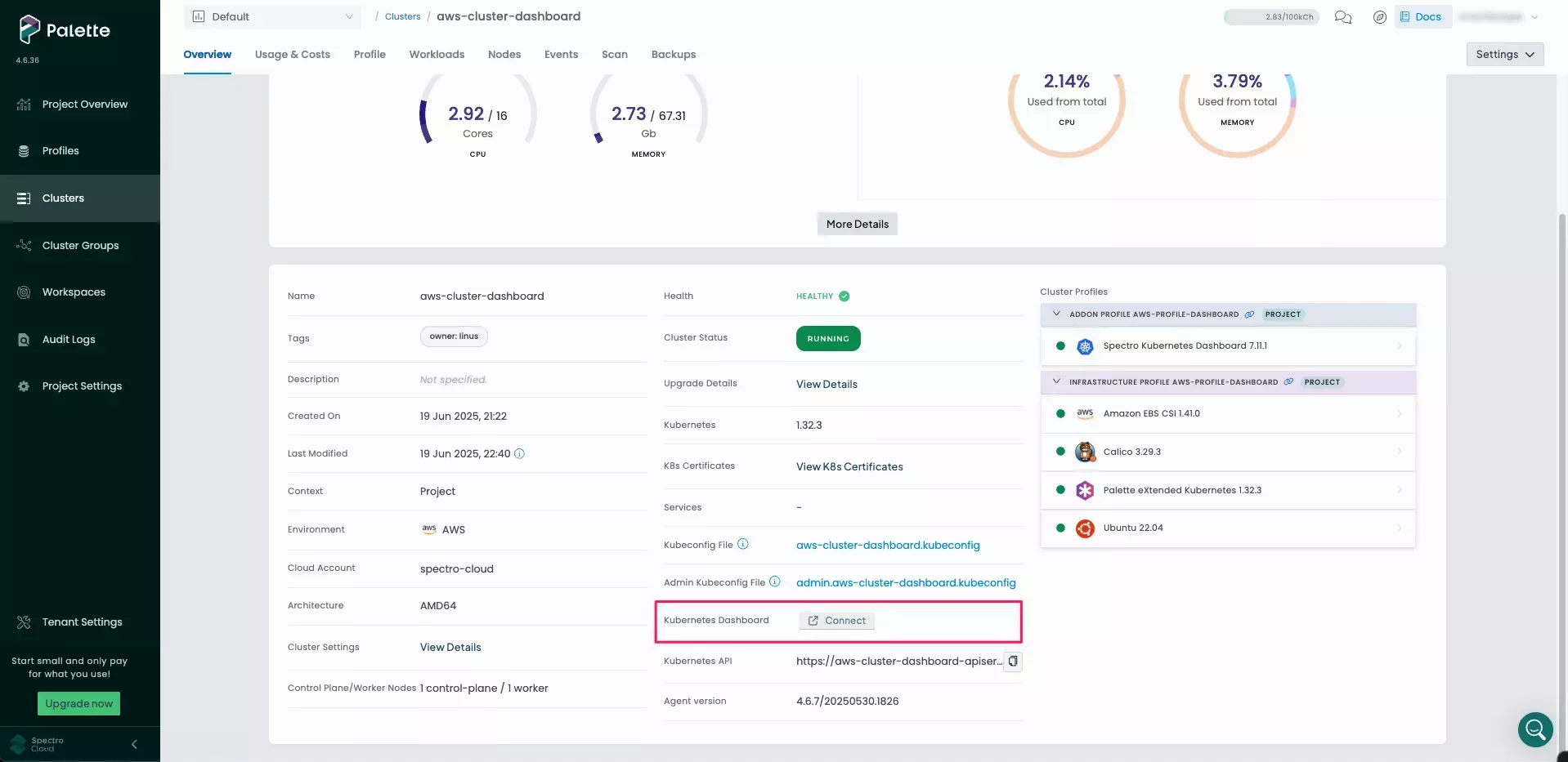 Image showing the Kubernetes Dashboard Connect button in the cluster overview screen