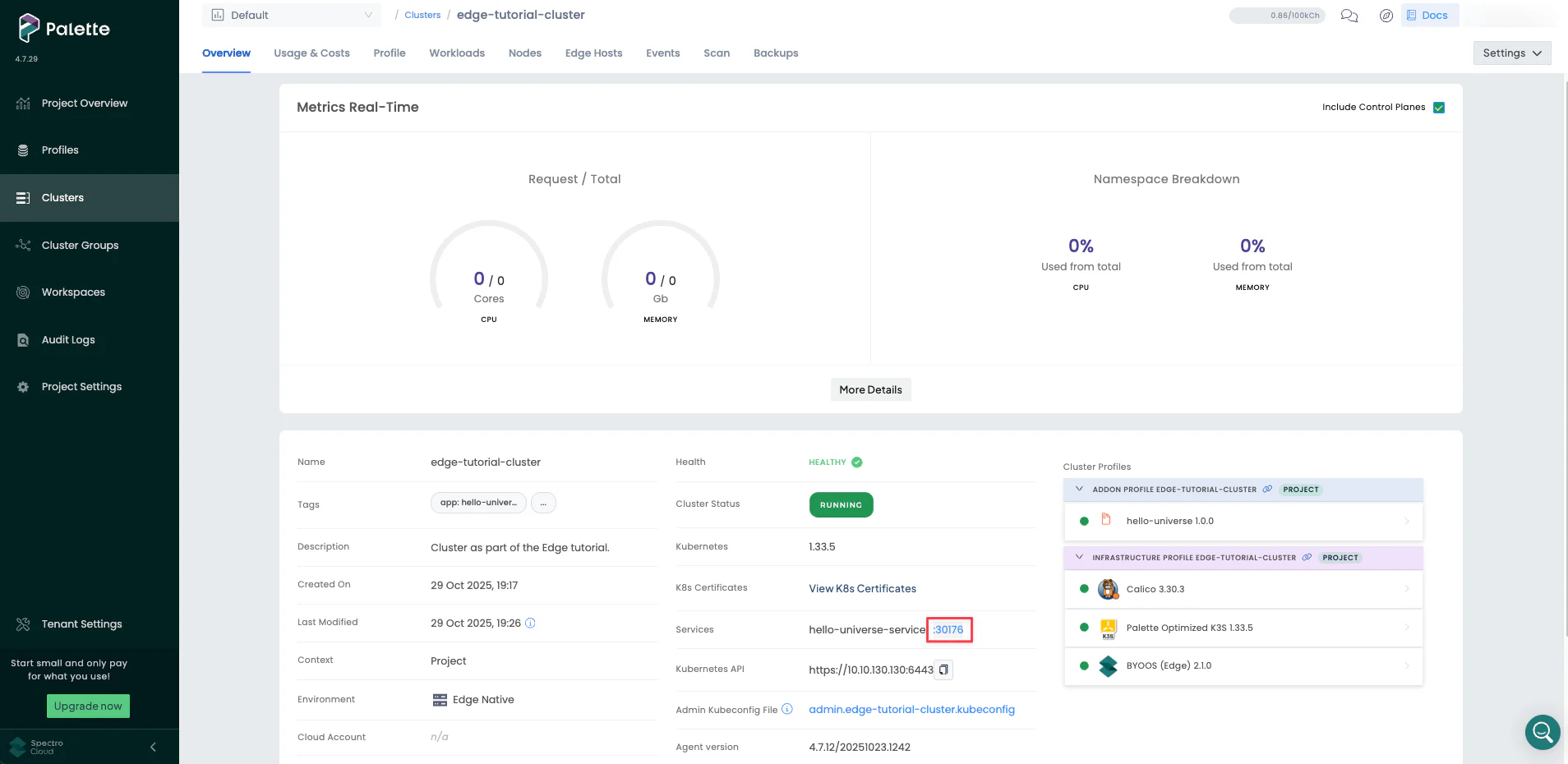 Screenshot of highlighted NodePort to access the application.
